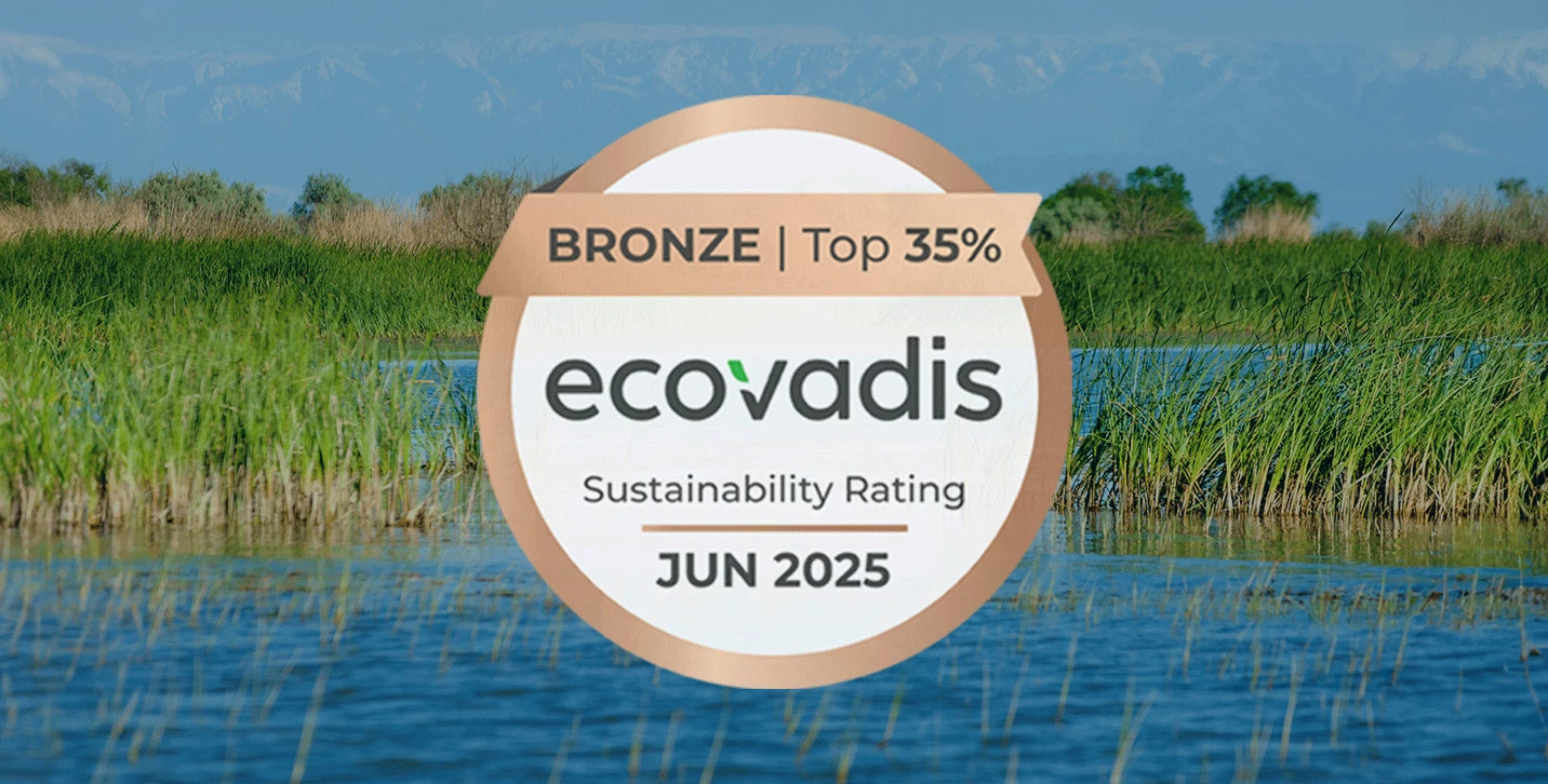 2025 EcoVadis Bronze Sustainability medal logo.